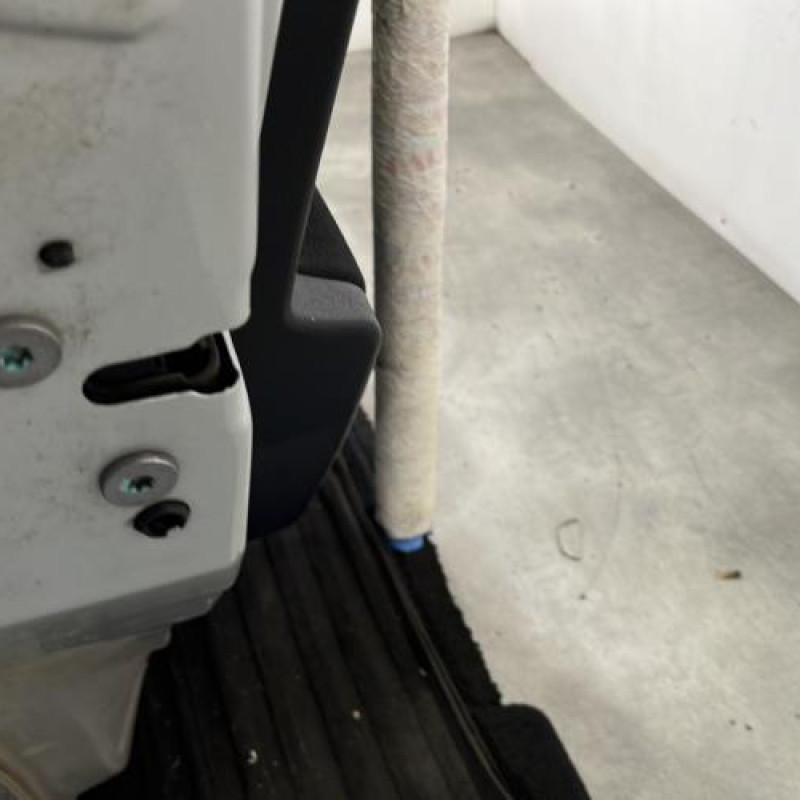 Porte arriere gauche PEUGEOT 207 Photo n°3