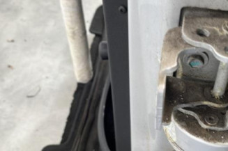 Porte arriere gauche PEUGEOT 207