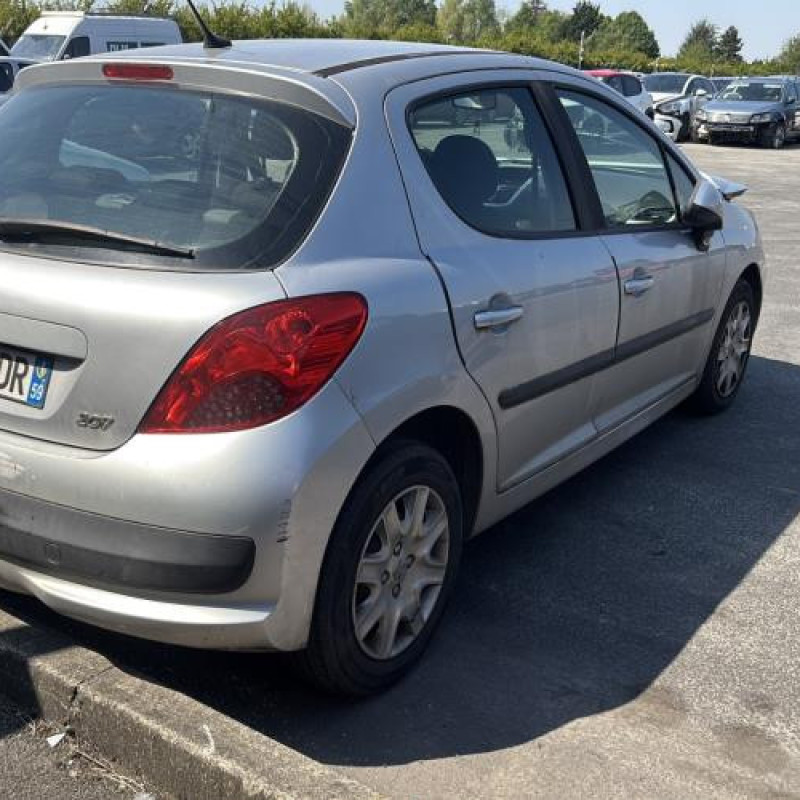 Porte arriere gauche PEUGEOT 207 Photo n°14
