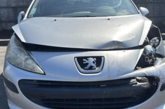 Porte arriere gauche PEUGEOT 207