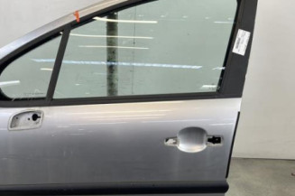 Porte avant gauche PEUGEOT 207 Photo n°1