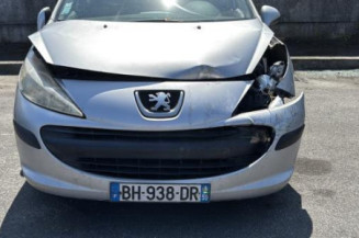 Porte avant gauche PEUGEOT 207