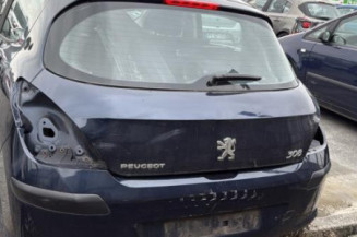 Porte arriere gauche PEUGEOT 308 1