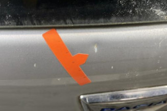 Malle/Hayon arriere DACIA SANDERO 1