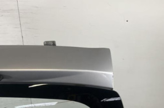 Malle/Hayon arriere DACIA SANDERO 1