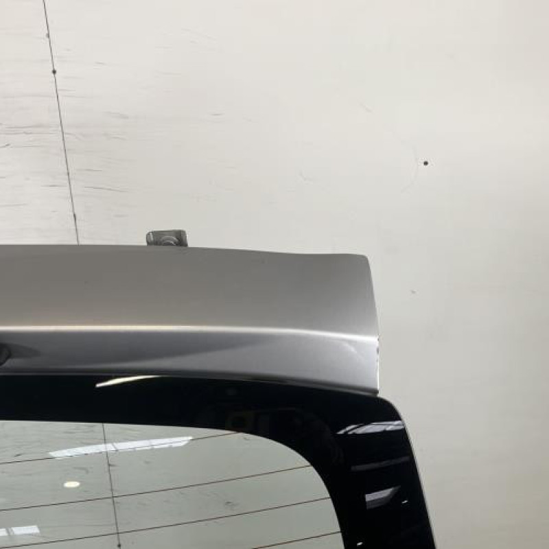 Malle/Hayon arriere DACIA SANDERO 1 Photo n°4