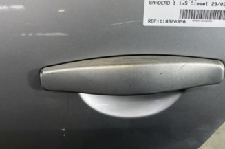 Porte arriere gauche DACIA SANDERO 1
