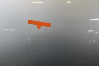 Porte arriere gauche DACIA SANDERO 1