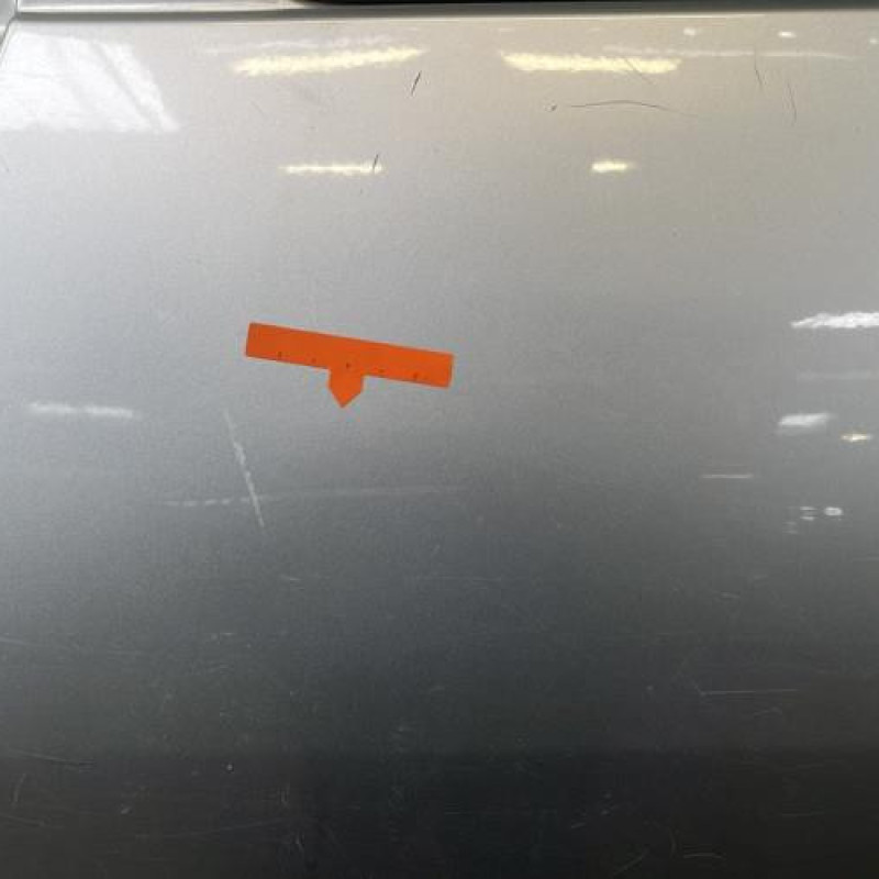 Porte arriere gauche DACIA SANDERO 1 Photo n°3