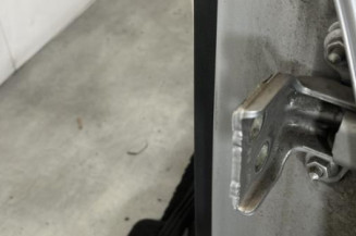 Porte arriere gauche DACIA SANDERO 1