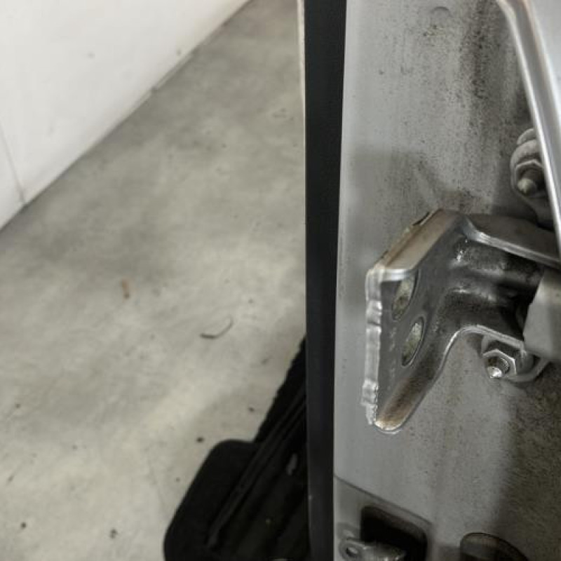 Porte arriere gauche DACIA SANDERO 1 Photo n°4