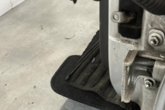 Porte arriere gauche DACIA SANDERO 1