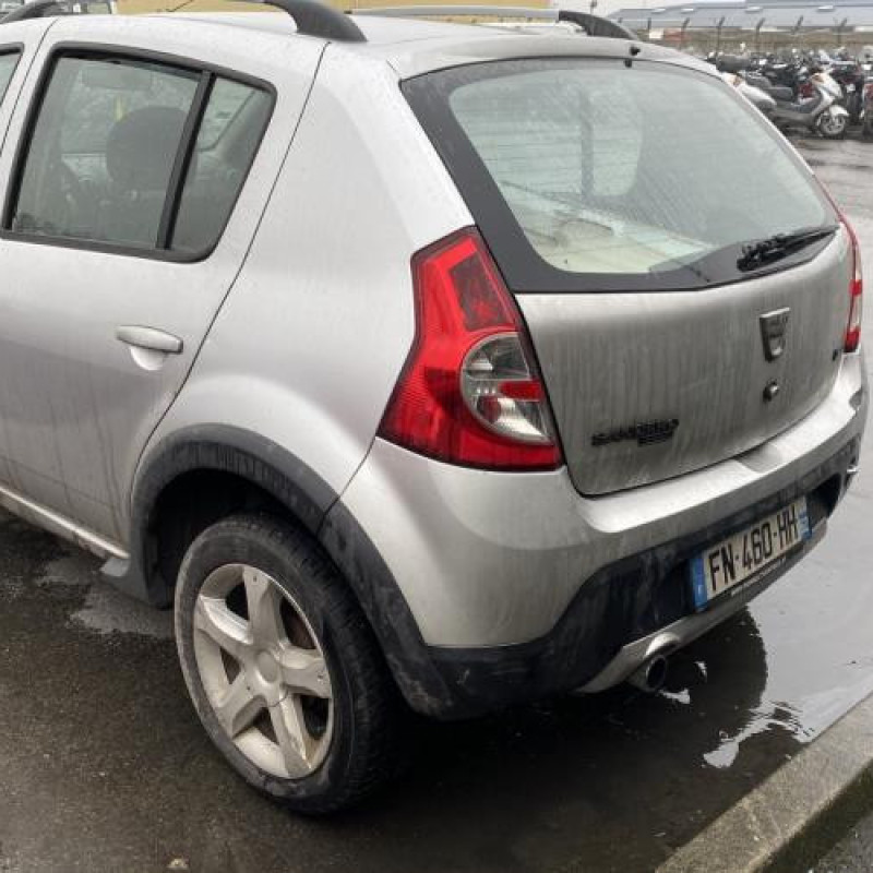 Porte arriere gauche DACIA SANDERO 1 Photo n°10