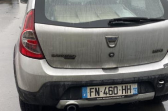 Porte arriere gauche DACIA SANDERO 1