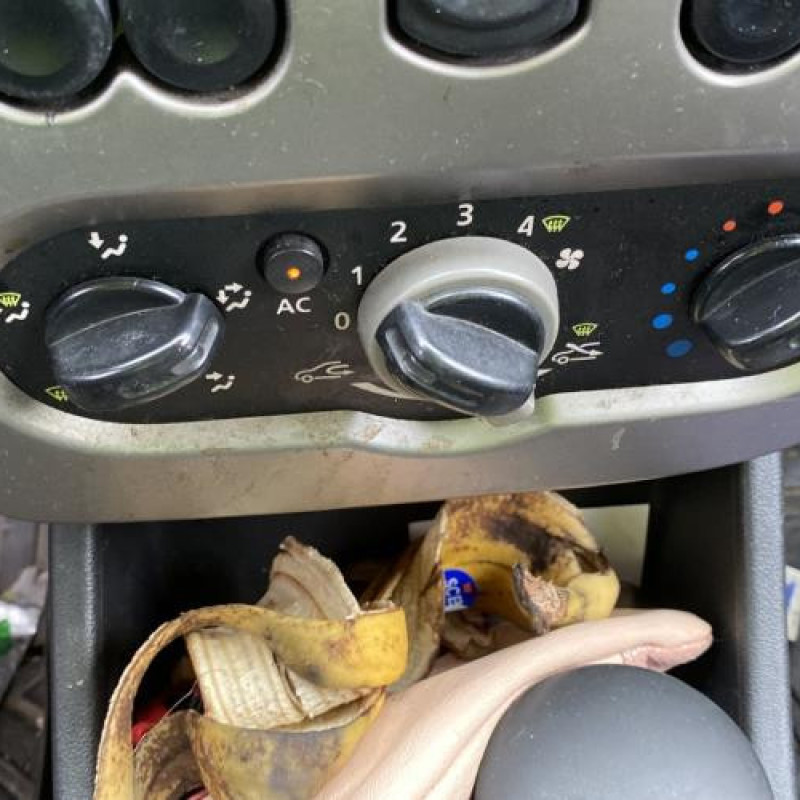 Porte arriere gauche DACIA SANDERO 1 Photo n°20