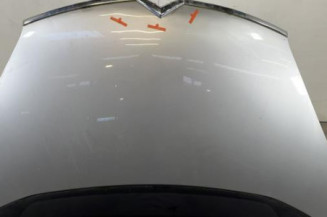 Capot CITROEN C4 GRAND PICASSO 1 Photo n°1