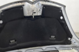 Capot CITROEN C4 GRAND PICASSO 1