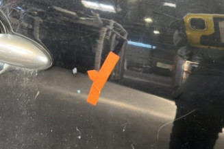 Porte avant droit RENAULT SCENIC 3