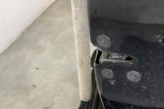 Porte avant droit RENAULT SCENIC 3