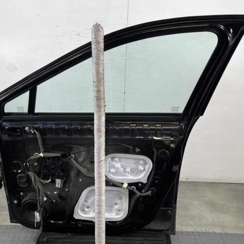 Porte avant droit RENAULT SCENIC 3 Photo n°8