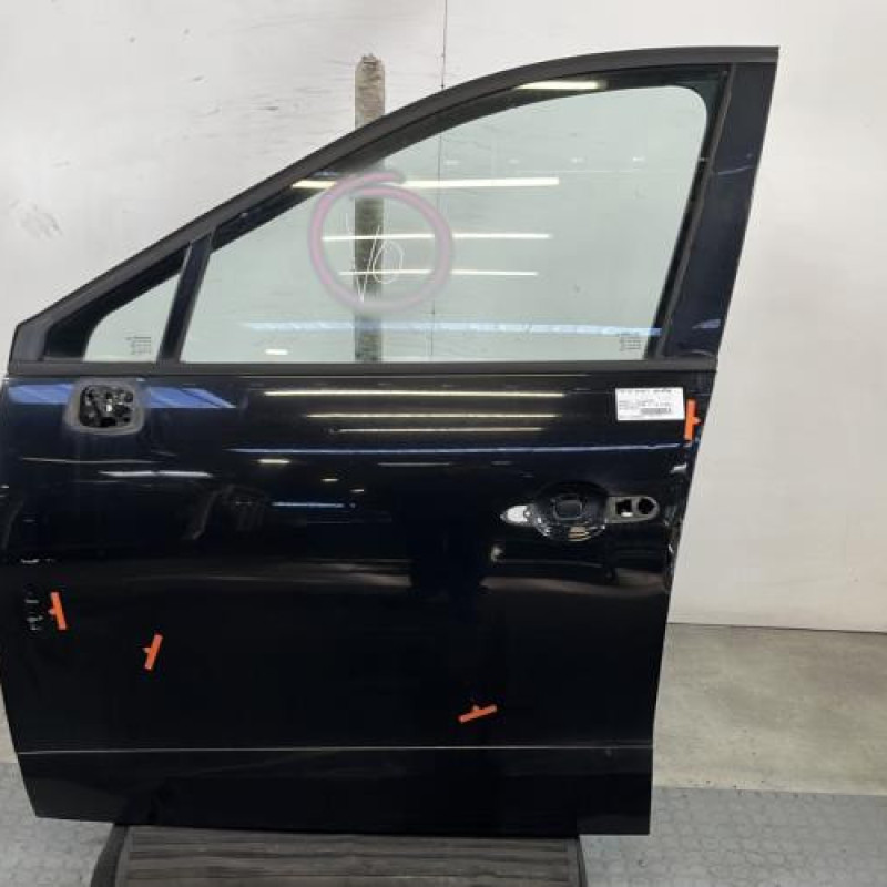 Porte avant gauche RENAULT SCENIC 3 Photo n°1