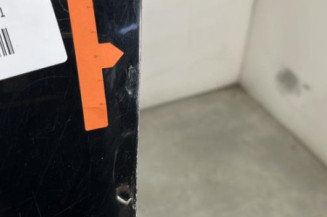 Porte avant gauche RENAULT SCENIC 3