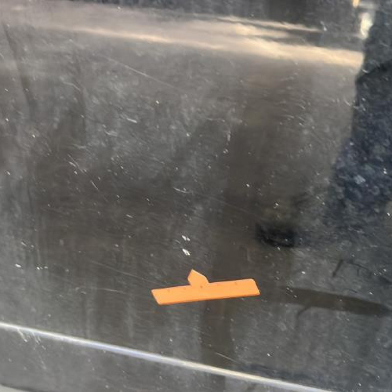 Porte avant gauche RENAULT SCENIC 3 Photo n°3