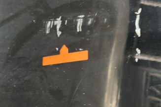 Porte avant gauche RENAULT SCENIC 3