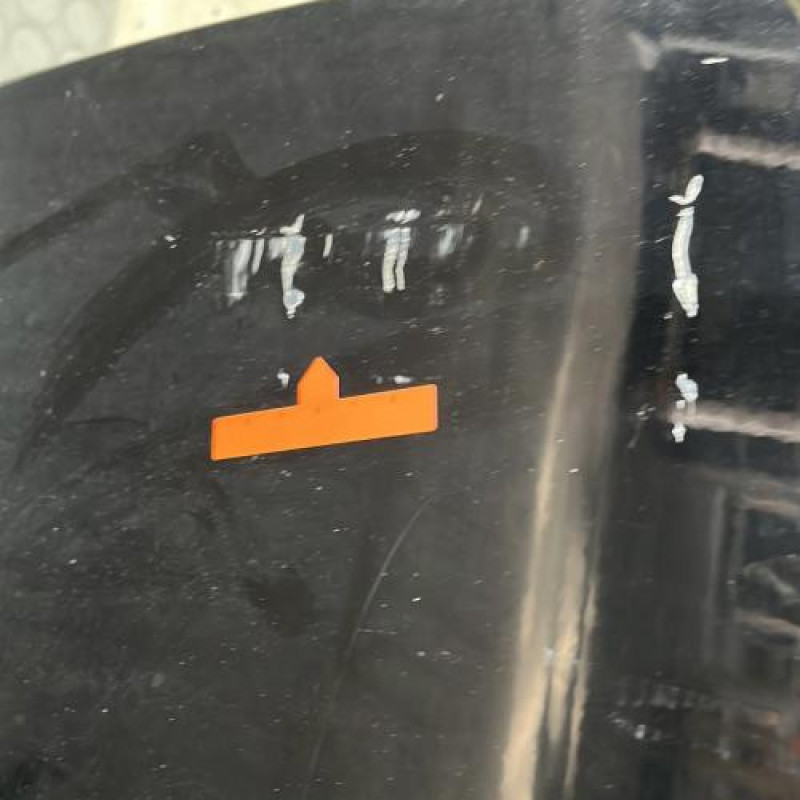 Porte avant gauche RENAULT SCENIC 3 Photo n°5