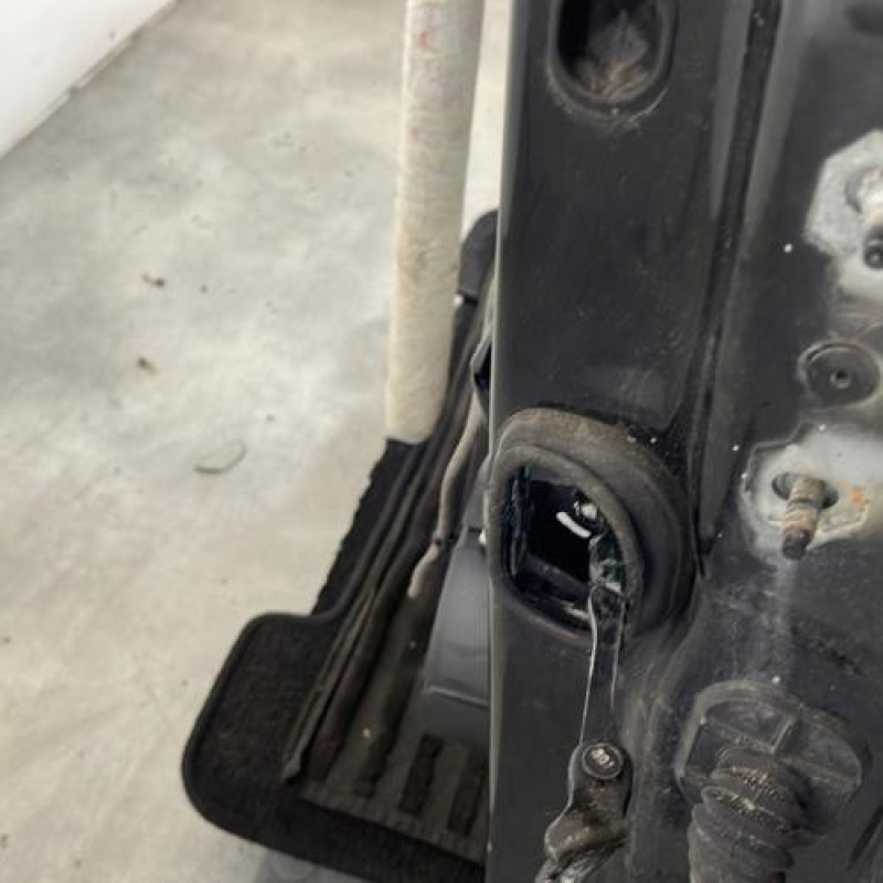 Porte avant gauche RENAULT SCENIC 3 Photo n°6