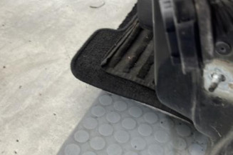 Porte avant gauche RENAULT SCENIC 3