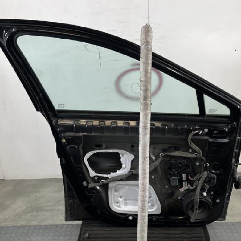 Porte avant gauche RENAULT SCENIC 3 Photo n°8