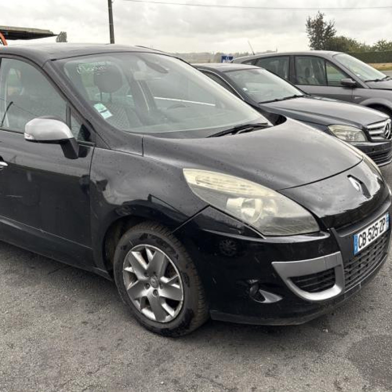 Porte avant gauche RENAULT SCENIC 3 Photo n°10