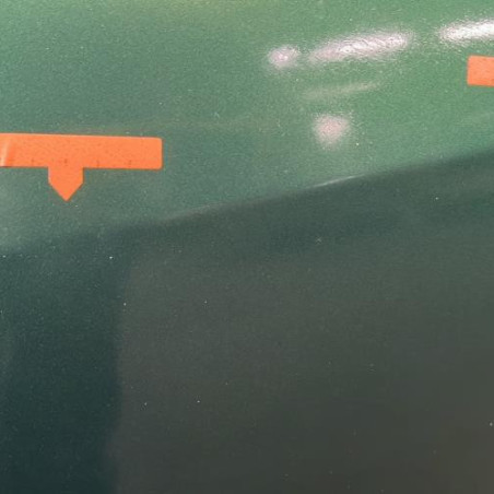 Porte avant gauche RENAULT TWINGO 1