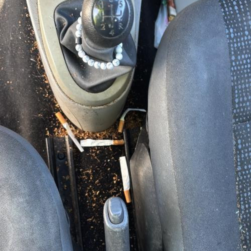 Poignee porte avant gauche RENAULT TWINGO 2 Photo n°20