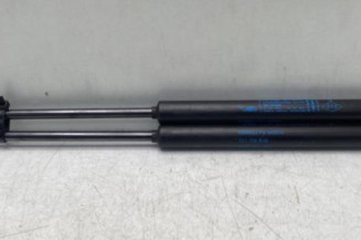 Verin de coffre RENAULT TWINGO 2 Photo n°1