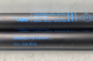 Verin de coffre RENAULT TWINGO 2