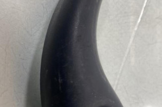 Poignee interieur porte de coffre gauche RENAULT MASTER 2