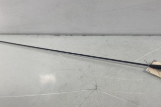 Antenne DACIA DOKKER Photo n°1