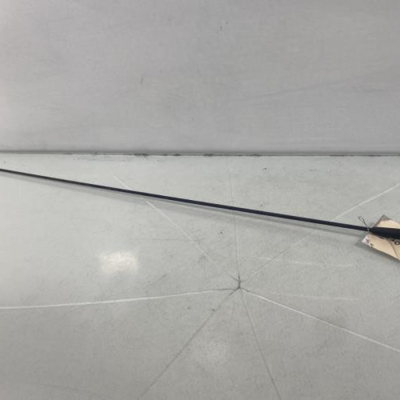 Antenne DACIA DOKKER Photo n°1