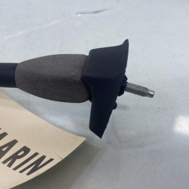 Antenne DACIA DOKKER Photo n°3