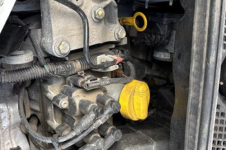 Poignee interieur avant gauche DACIA DOKKER