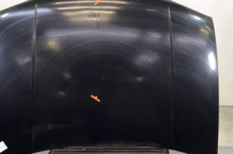 Capot VOLKSWAGEN GOLF 4 Photo n°1