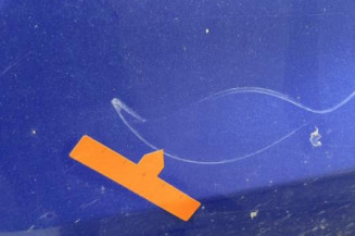 Porte avant gauche KIA RIO 3