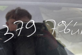 Feu arriere principal gauche (feux) BMW SERIE 5 E39