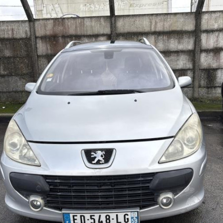 Custode arriere gauche PEUGEOT 307