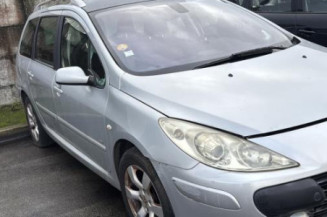 Custode arriere gauche PEUGEOT 307