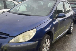 Mastervac PEUGEOT 307 Photo n°1