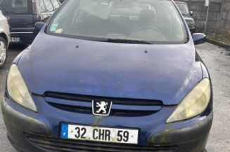 Mastervac PEUGEOT 307
