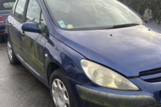 Mastervac PEUGEOT 307